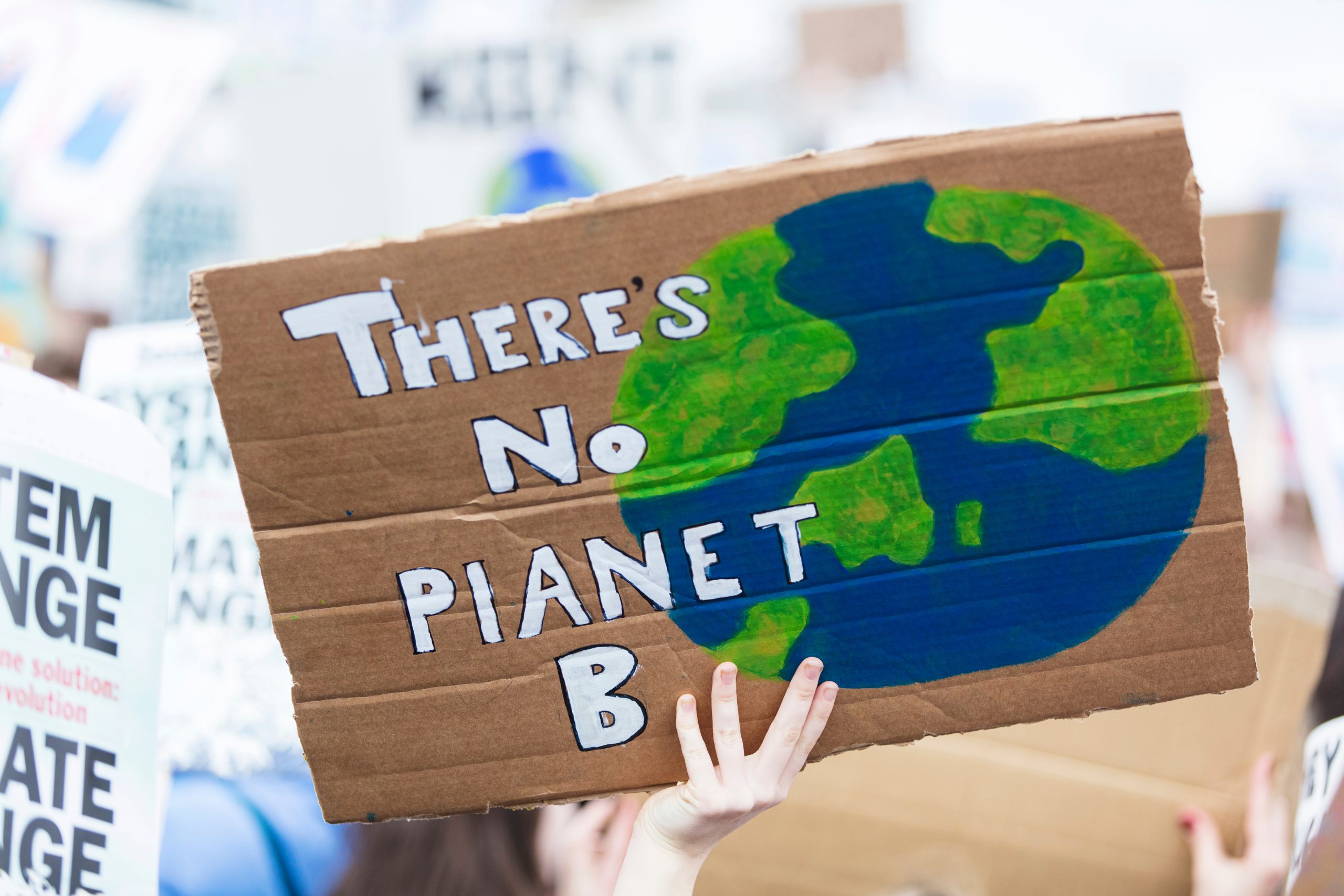 People with banners protest as part of a climate change march Prof Dr Scheffran Uni Hamburg Interview Sucy Pretsch