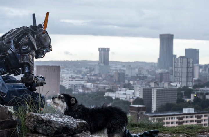 Das sind die TV- & Streaming-Highlights am Ostersonntag