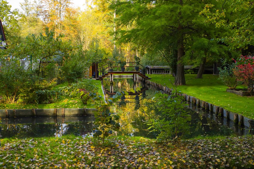 Dreharbeiten haben begonnen +++ Spreewald-Serie mit Top-Besetzung +++ Alle Infos +++ Neue Vorabendserie: »Die Spreewaldklinik«