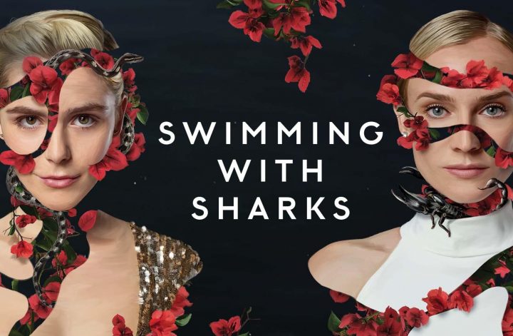 Swimming with Sharks