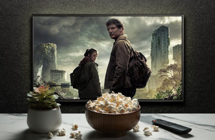 Hamara the last of us