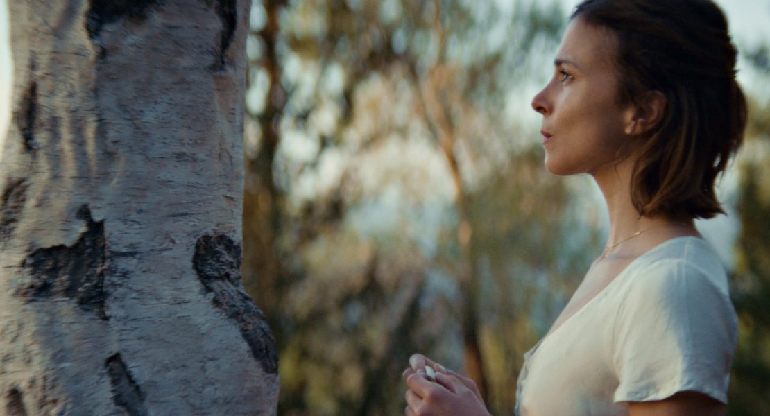 Der Russe ist einer, der Birken liebt