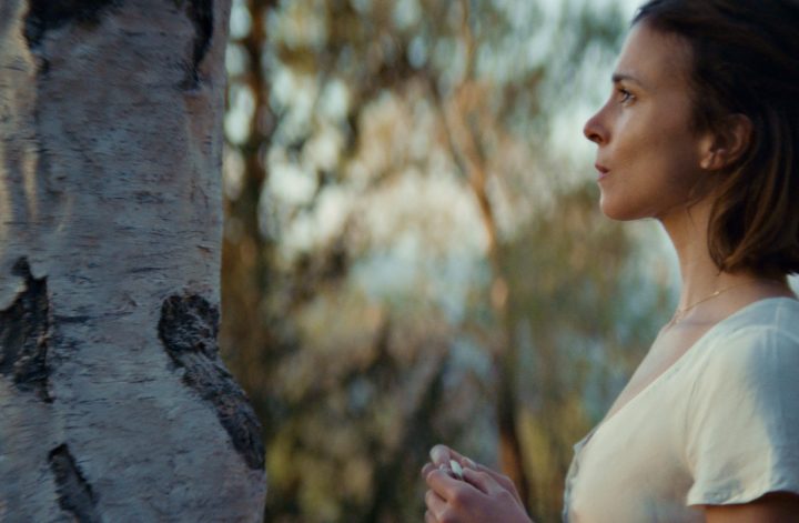 Der Russe ist einer, der Birken liebt