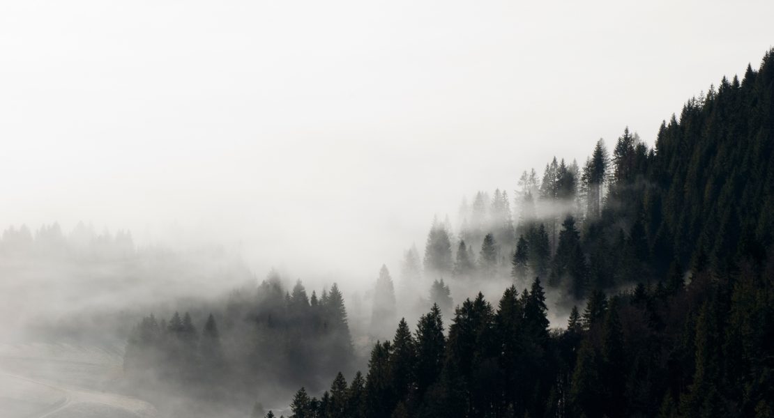 yellowjacket staffel 3