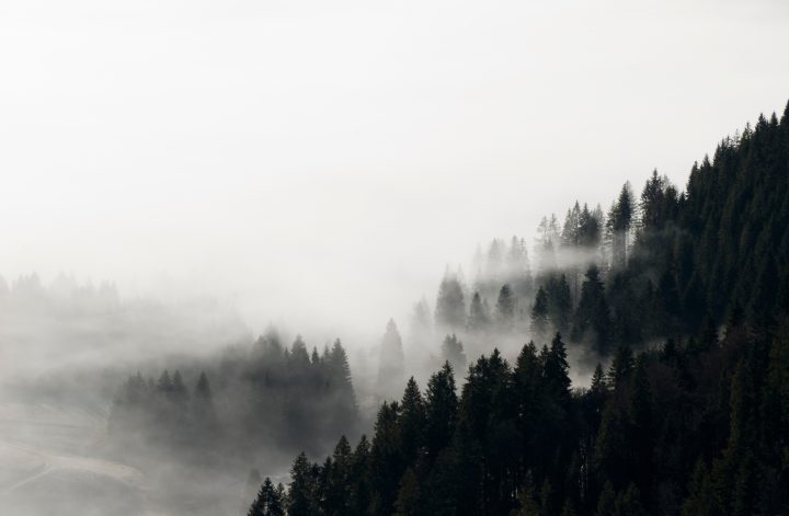 yellowjacket staffel 3