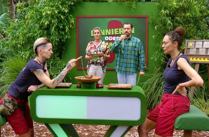 Ich bin ein Star - Holt mich hier raus!