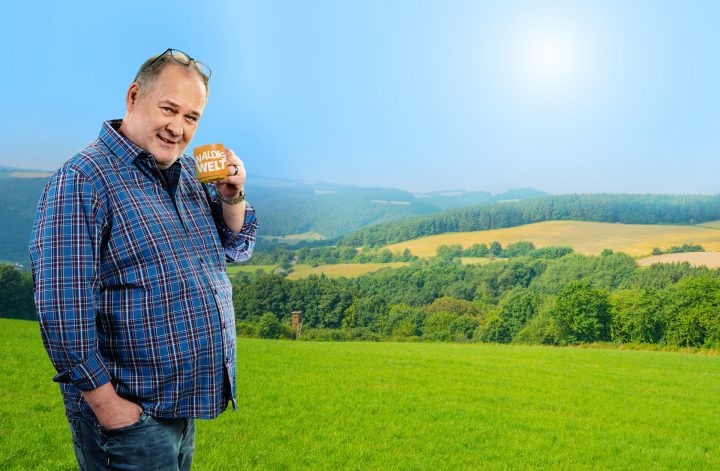 Waldis Welt