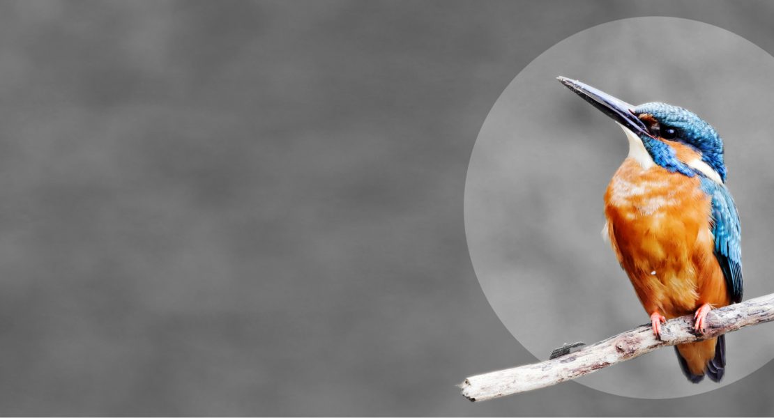 ZDF-Komödie gewinnt Preis für nachhaltige Filmproduktionen Ein Beispiel dafür ist die ZDF-Produktion "Für immer Freibad". Diese Komödie wurde mit dem "EISVOGEL – Preis für nachhaltige Filmproduktionen" ausgezeichnet. Der "EISVOGEL" prämiert Produktionen, die nachhaltige und ressourcenschonende Praktiken erfolgreich umsetzen. Kulturstaatsministerin Claudia Roth, Umweltstaatssekretärin Christiane Rohleder und die Heinz Sielmann Stiftung verliehen den Preis am Mittwoch, dem 12. Februar 2025, im Vorfeld der Berlinale.