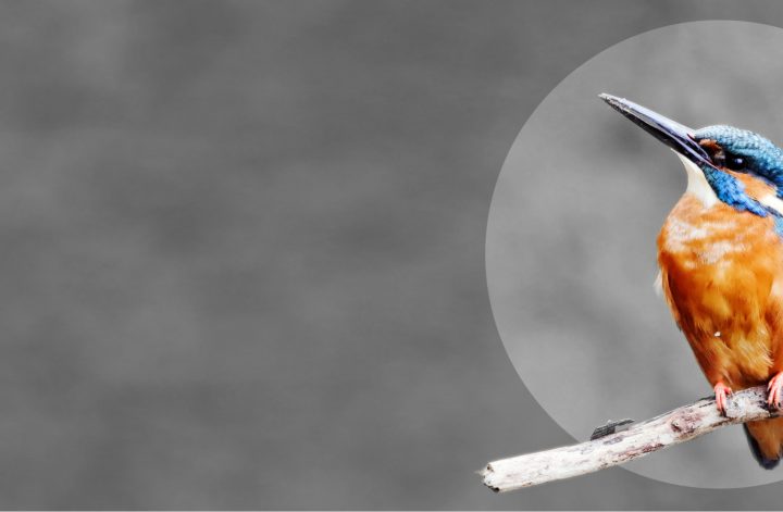 ZDF-Komödie gewinnt Preis für nachhaltige Filmproduktionen Ein Beispiel dafür ist die ZDF-Produktion "Für immer Freibad". Diese Komödie wurde mit dem "EISVOGEL – Preis für nachhaltige Filmproduktionen" ausgezeichnet. Der "EISVOGEL" prämiert Produktionen, die nachhaltige und ressourcenschonende Praktiken erfolgreich umsetzen. Kulturstaatsministerin Claudia Roth, Umweltstaatssekretärin Christiane Rohleder und die Heinz Sielmann Stiftung verliehen den Preis am Mittwoch, dem 12. Februar 2025, im Vorfeld der Berlinale.