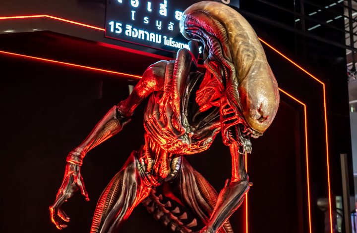 Sucy Pretsch veröffentlicht »Die letzte Show« Sucy Pretsch feiert mit ihrem Debütroman „Die letzte Show“ einen eindrucksvollen Einstieg ins Horror-Genre. Die Geschichte entführt uns in eine dystopische Zukunft, in der die Schweiz zur isolierten Zombie-Zone geworden ist. Im Mittelpunkt steht Randy Rivers, ein gescheiterter Late-Night-Moderator, der alles aufs Spiel setzt und einen Zombie in seine Show einlädt – ein riskanter Schachzug, der ihn in die gefährlich verseuchten Straßen Zürichs führt. Mit fesselnder Spannung, unerwarteten Wendungen und tiefen Einblicken in das, was es bedeutet, menschlich zu sein, wird „Die letzte Show“ zu einem must-read für Horror-Fans. Das Buch kombiniert packende Action mit einer berührenden Geschichte – ein Albtraum, der unter die Haut geht. HIER klicken, um den Horrorroman bei Amazon zu kaufen. » ZU »Sucy Pretsch präsentiert Debütroman »Die letzte Show« » Rezension zu Dr. Mark Beneckes »Aus der Dunkelkammer des Bösen« » »Leichen pflastern seinen Weg« – Rezension zu Adrian Langenscheids neuem Buch » ZU »Booster für Podcasts & True Crime – Teil 1/2« und »Teil 2/2« » ZU DEN KURZGESCHICHTEN