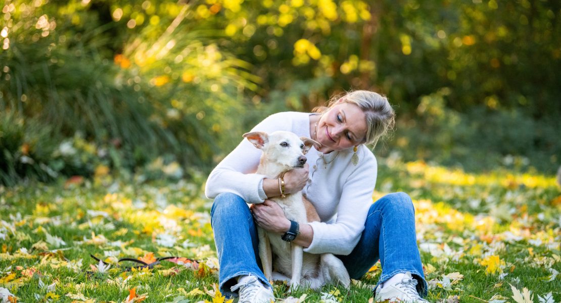 Wenn Haustiere alt werden