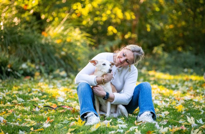 Wenn Haustiere alt werden