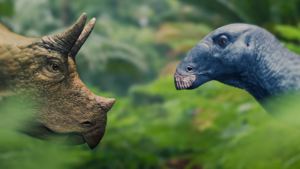 »Terra X«: Unter Dinos – Geheimnisse der Urzeit