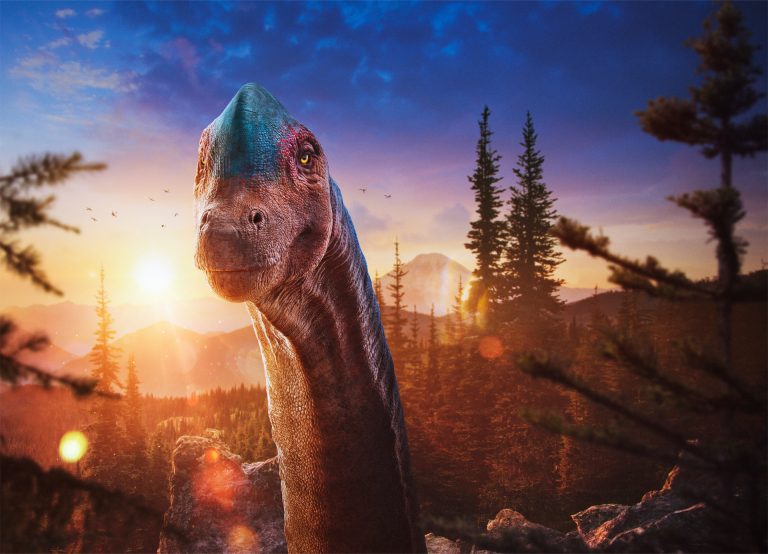 »Terra X«: Unter Dinos – Geheimnisse der Urzeit