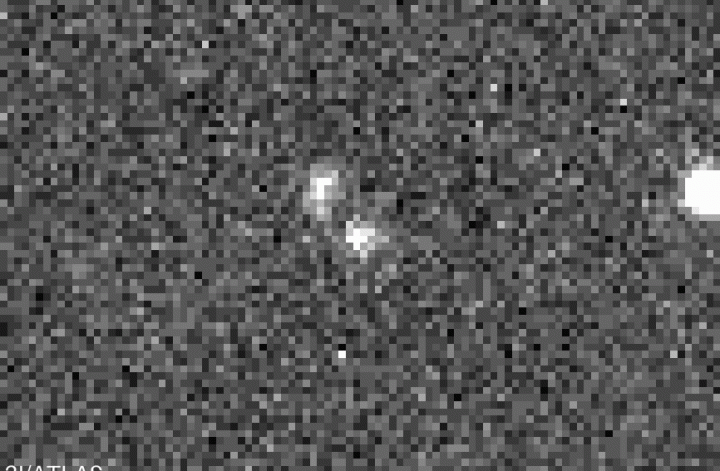 ESA / Las Cumbres Observatory