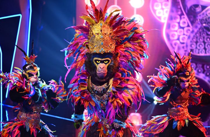 Bühne frei für große Überraschungen: Das war der Start von »The Masked Singer«