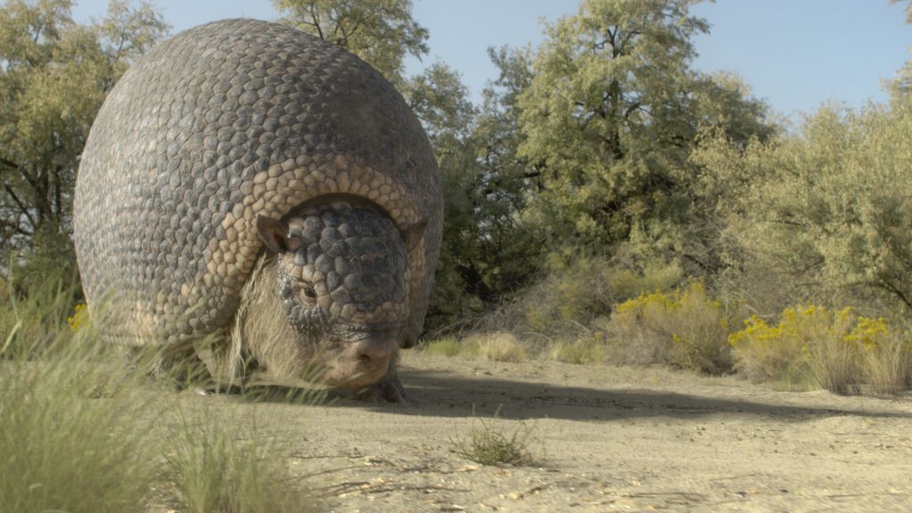 Dokuserie »Prehistoric Planet: Ice Age« – Eiszeit-Helden kämpfen ums Überleben